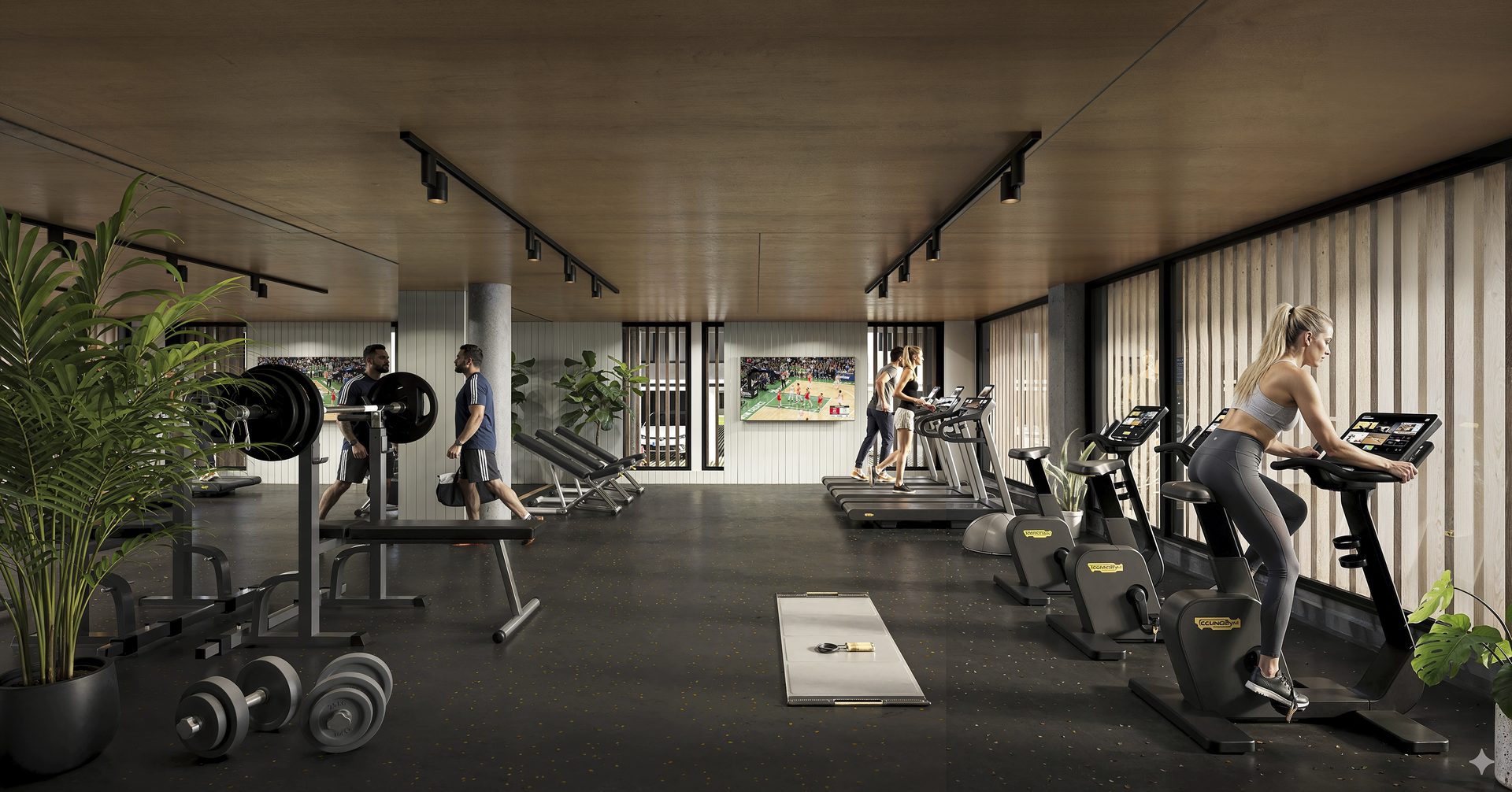 Gimnasio Orionis